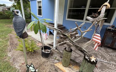 Active | 641 Newfound Harbor Drive, Merritt Island, FL 32952